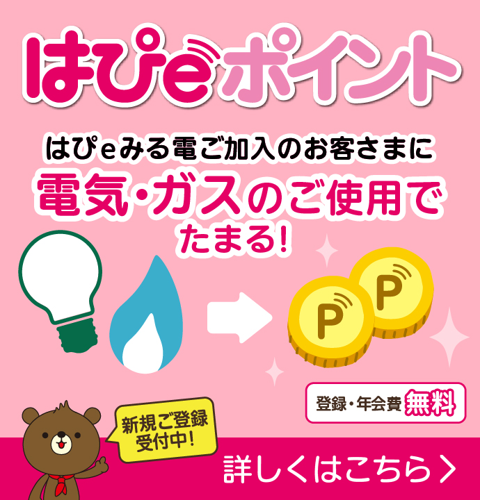 要注意 関西電力のはぴeみる電のはぴeポイントは毎月ログインしないとポイントがもらえない ケータイ乞食から陸マイラーへ