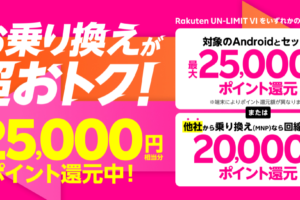 楽天お買い物マラソン 楽天スーパーセールを完走してみて学んだ攻略法 大きな買い物がある人が最適 ふるさと納税もオススメ ケータイ乞食から陸マイラーへ