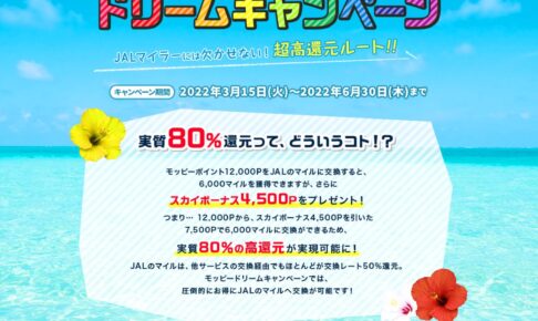 マクドナルド株式優待券では数量限定商品ギガビッグマックは駄目